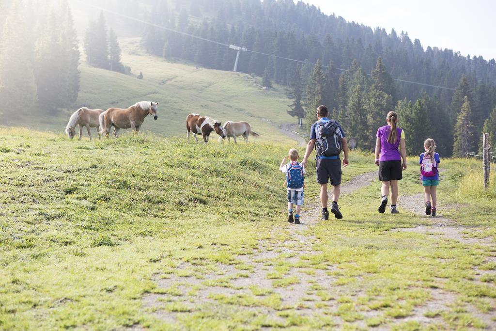 Appartmenthaus Martina Zell am Ziller Zewnętrze zdjęcie